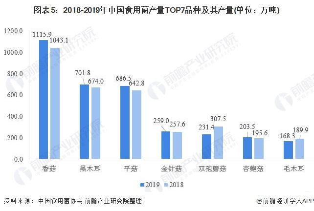 图表5：2018-2019年中国食用菌产量TOP7品种及其产量(单位：万吨)/