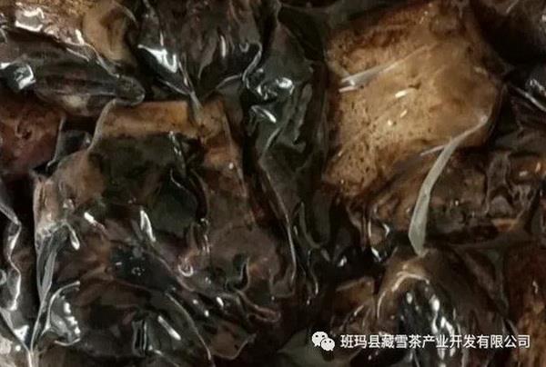 菌菇文化有哪些_菌类文化_菌类介绍/