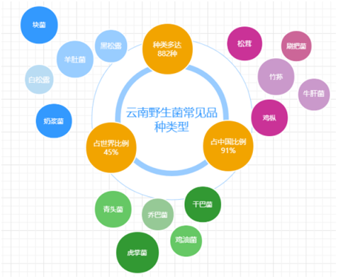 怎么查菌株文献_菌类文献_食用菌文献综述