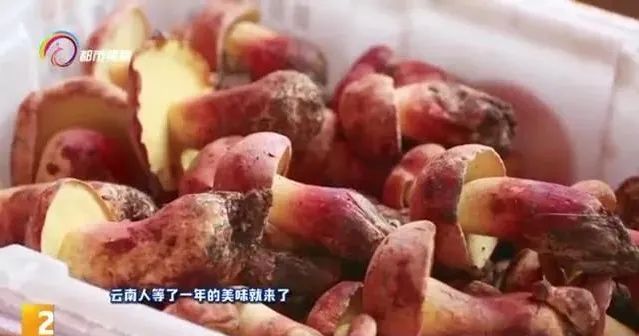 菌类菜的做法大全_干菌类做法大全_菌类做法