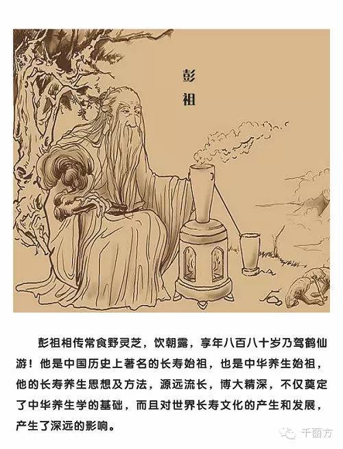 菌类文化_菌类文化艺术作品_菌类介绍