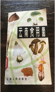 菌类菜谱大全名字和图片_菌类菜肴_菌类菜谱