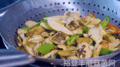 野生菌新闻稿_菌类新闻_食用菌新闻